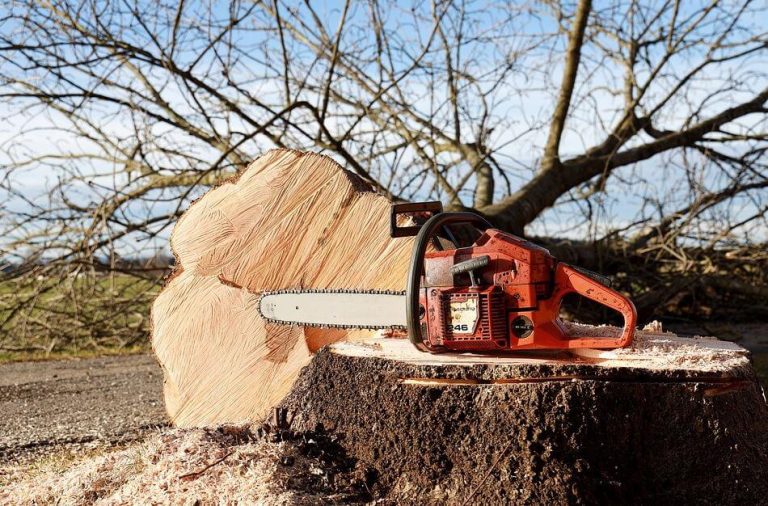 red saw and tree stump